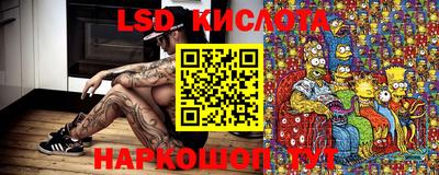 ALPHA-PVP Новозыбков