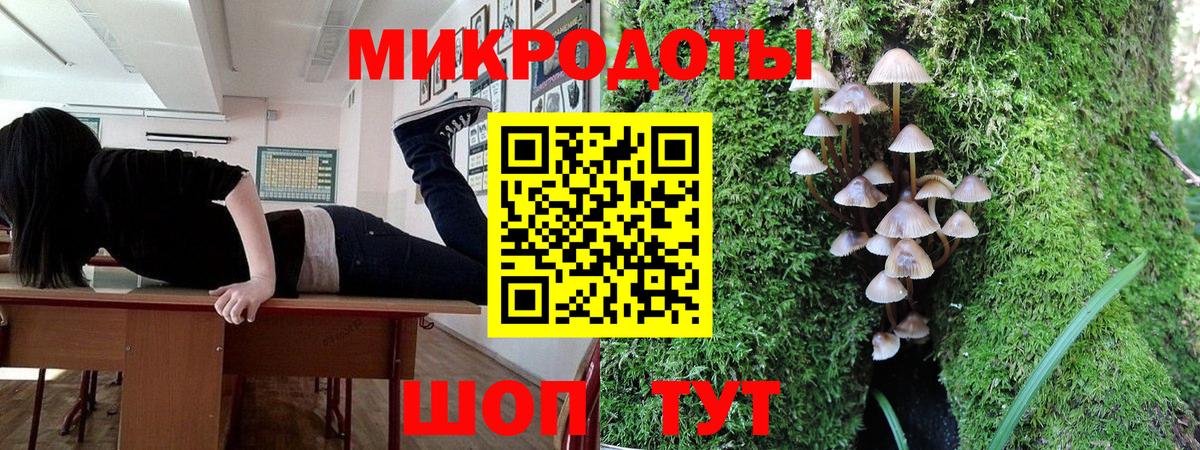Галлюциногенные грибы GOLDEN TEACHER Спасск-Дальний