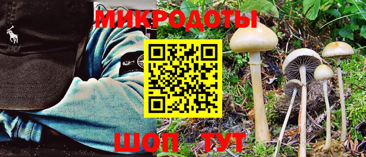 Псилоцибиновые грибы Magic Shrooms  Вход с VPN  Спасск-Дальний 